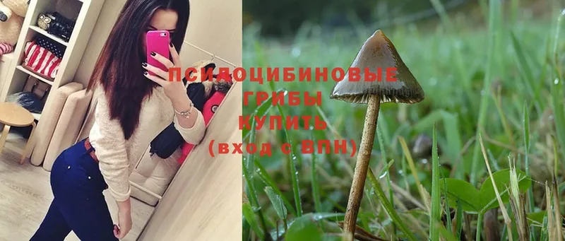 Псилоцибиновые грибы Magic Shrooms  Котельники 